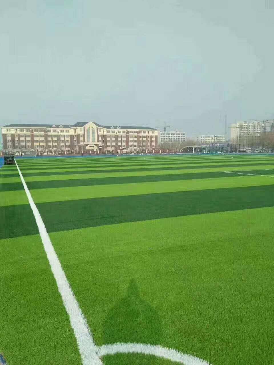 宝鸡市足球场人造草坪仿真草坪 - 排名